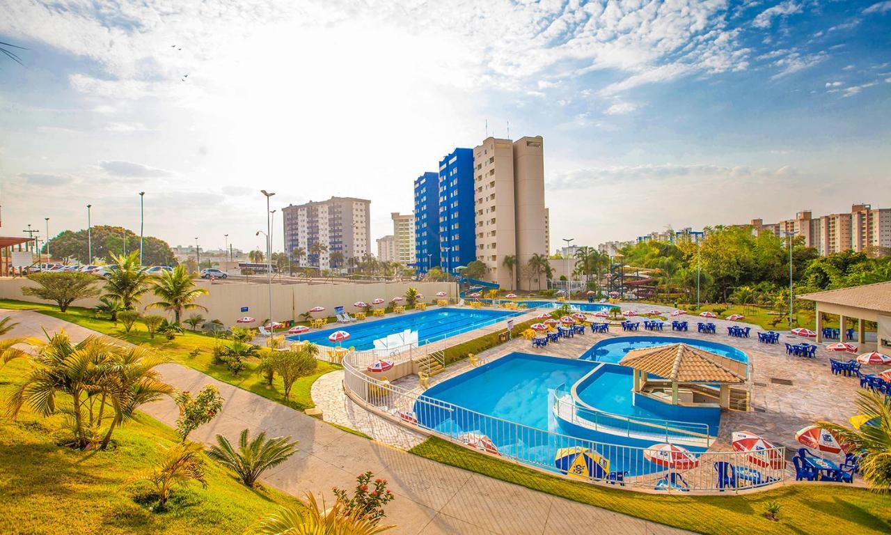 Golden Dolphin Oficial *